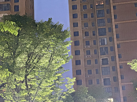 園林綠化