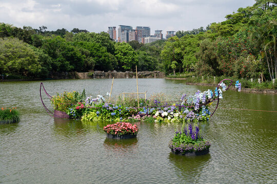 湖面上的花船