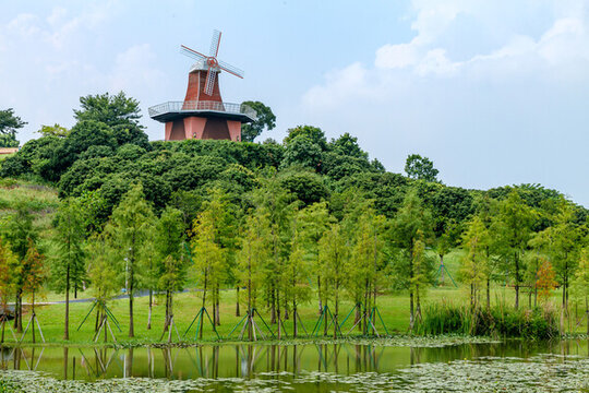 東莞植物園風(fēng)景