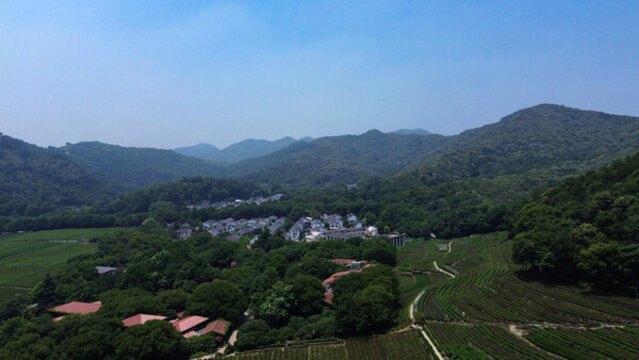 航拍西湖龍井風(fēng)景區(qū)