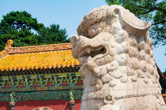 中國古建筑中的石獅子