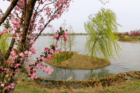 鹽城中華海棠園