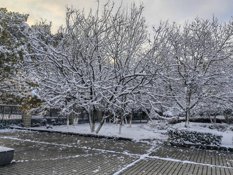 雪景