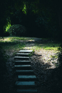 公園一角
