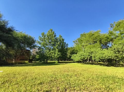 綠草藍(lán)天