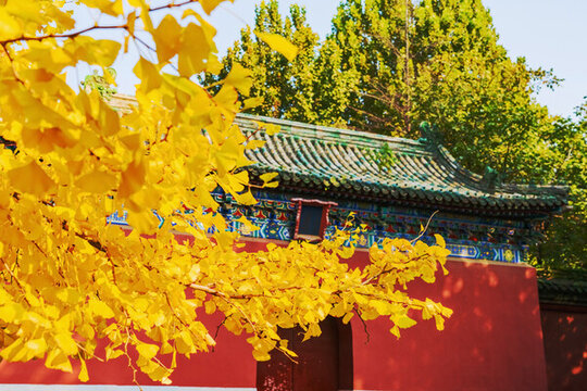 北京天壇公園古建筑和綠色植物