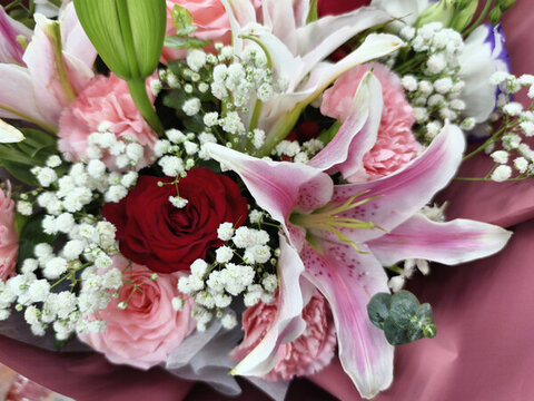 粉色百合花