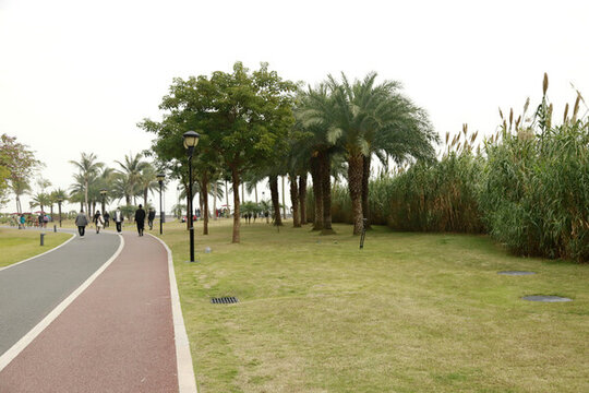 珠海野貍島風光