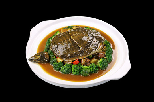 紅燒甲魚