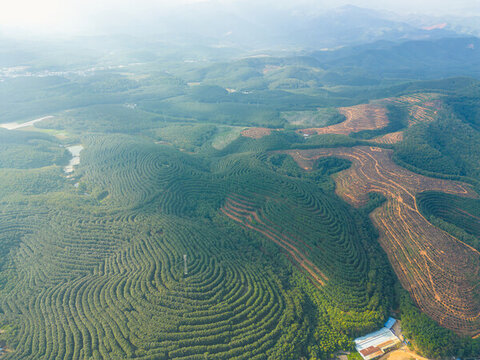 航拍山間梯田茶園田園風光