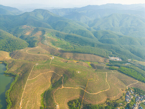 航拍山間梯田茶園田園風光