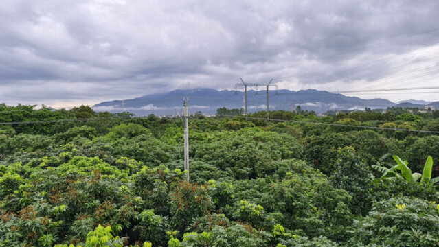 雨后云霧繚繞的樹林與山峰