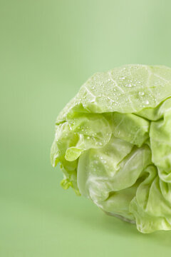 大頭菜包菜圓白菜