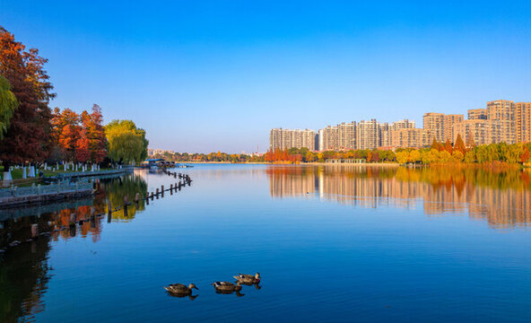 寧波日湖公園