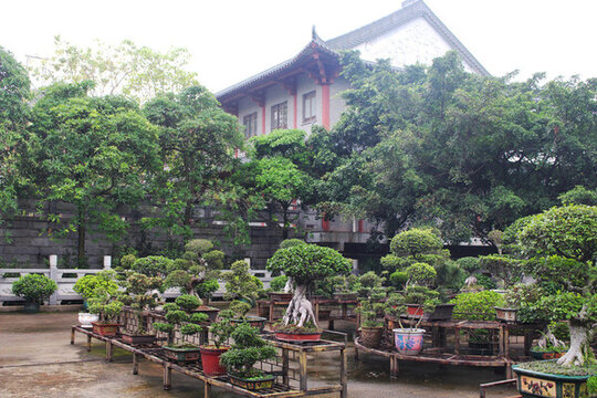 佛山西樵山雨中風(fēng)景