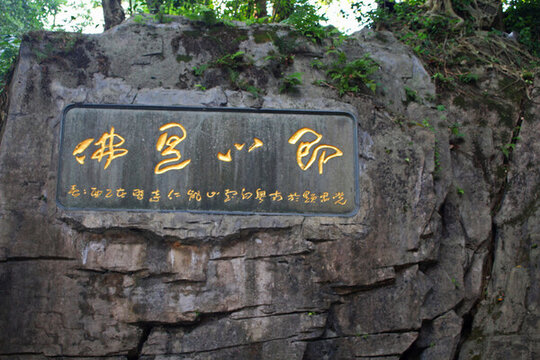 廣東廣州白云山