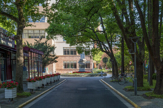 上海復(fù)旦大學(xué)校園