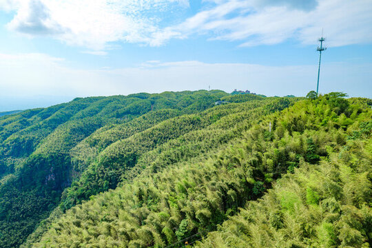 四川宜賓蜀南竹海自然風光