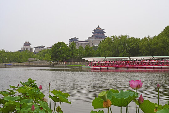 蓮花池公園