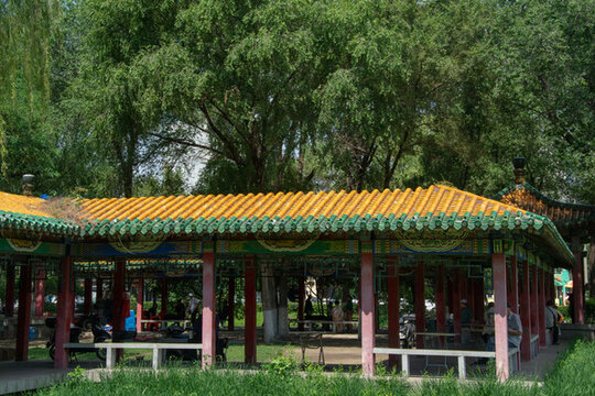 夏天公園中的古建筑