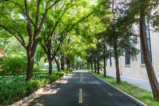 北京林蔭街道