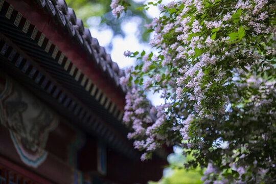 猥實(shí)