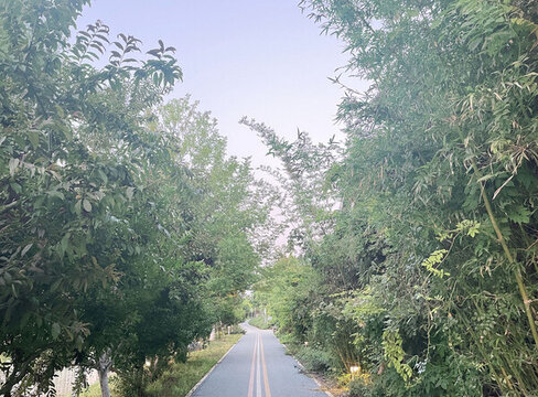 林蔭小路