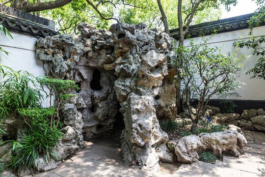 上海豫園假山景觀樹