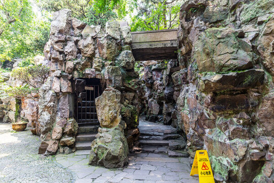 上海豫園假山景觀樹