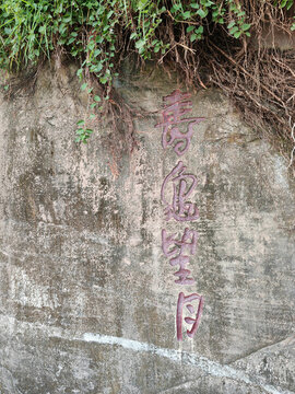 壽龜望月石
