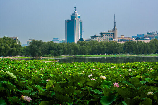 北京蓮花池公園