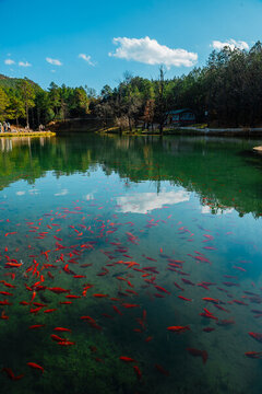 麗江風(fēng)光
