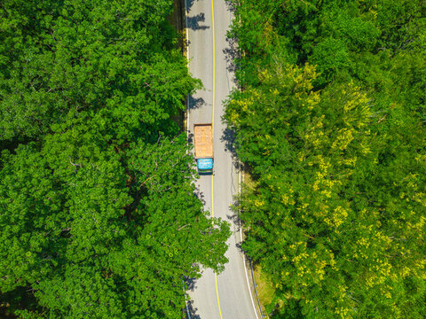 航拍林間公路