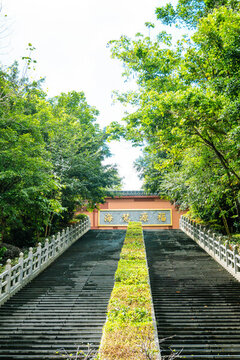 福源寺百級(jí)臺(tái)階