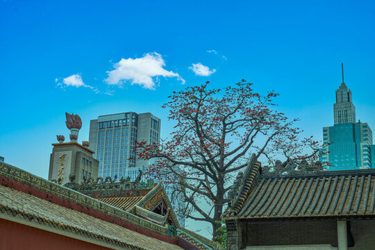 古典建筑與現(xiàn)代建筑