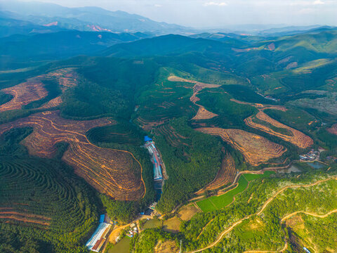 航拍山間梯田茶園田園風(fēng)光