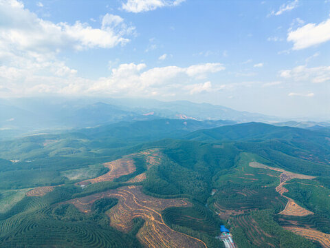 航拍山間梯田茶園田園風(fēng)光