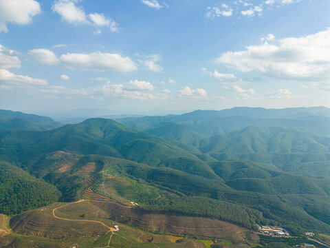 航拍山間梯田茶園田園風(fēng)光