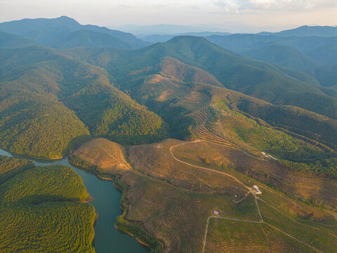 航拍山間梯田茶園田園風(fēng)光