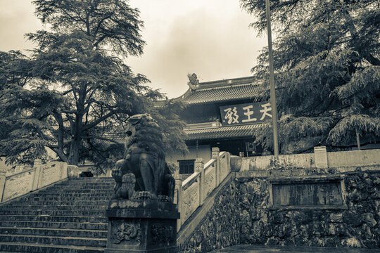 天童寺森林公園