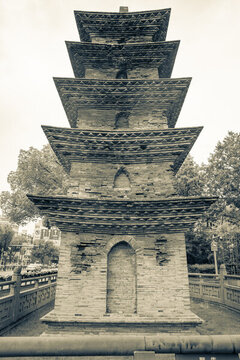寧波天寧寺