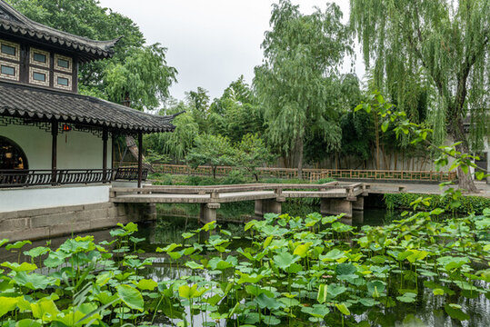 園林風景