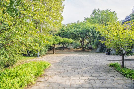 孟姜女廟景區(qū)石磚路廣場樹林