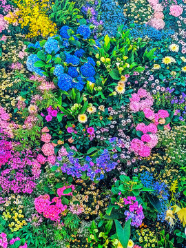 五彩繽紛鮮花叢