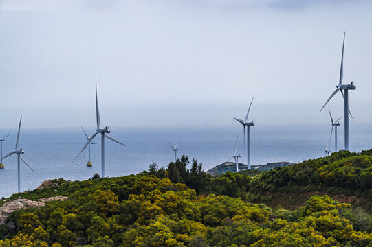 海濱風(fēng)電景觀