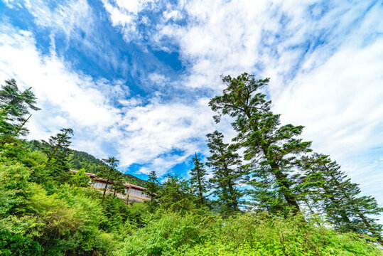 四川峨眉山金頂藍天云海自然風光