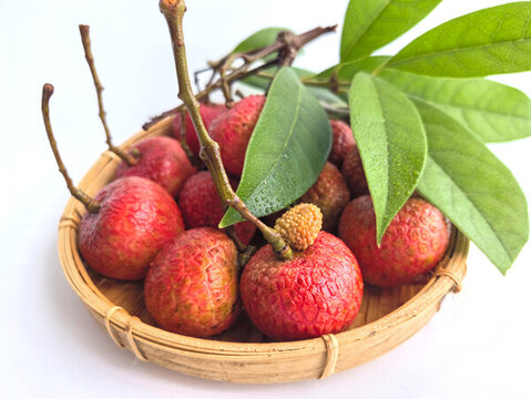 綠葉荔枝
