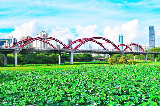洪湖公園美景