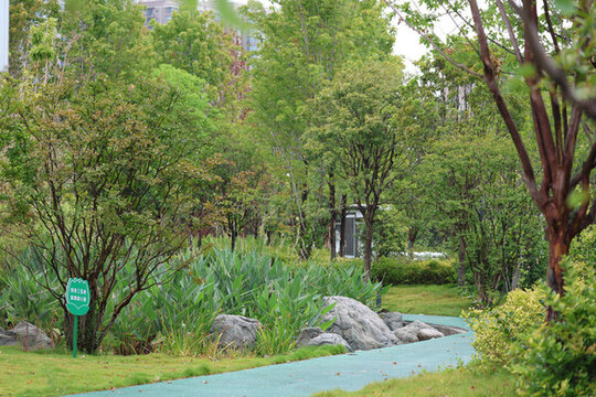 公園