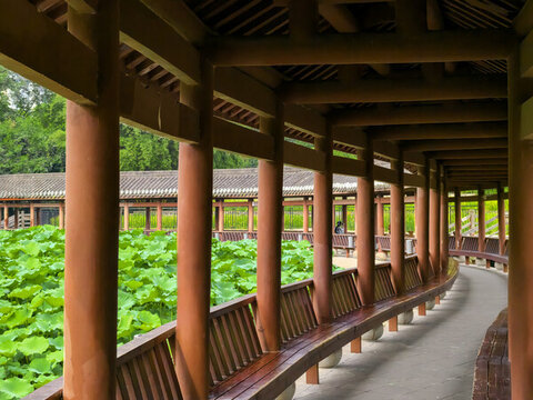 龍頭寺公園
